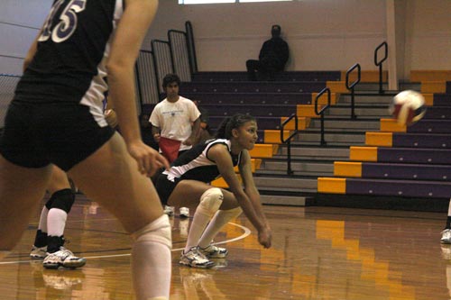 Jessica Vieira helped led the Lady Wildcats to a conference victory over Cumberland University
